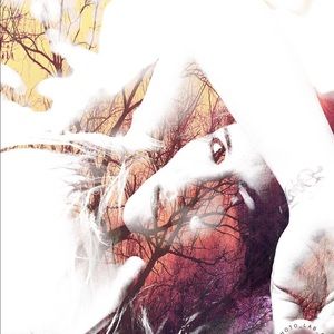 Meet your Posher, Dion